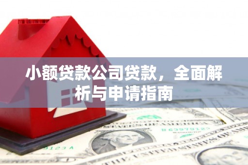 尉氏小额贷款公司贷款，全面解析与申请指南