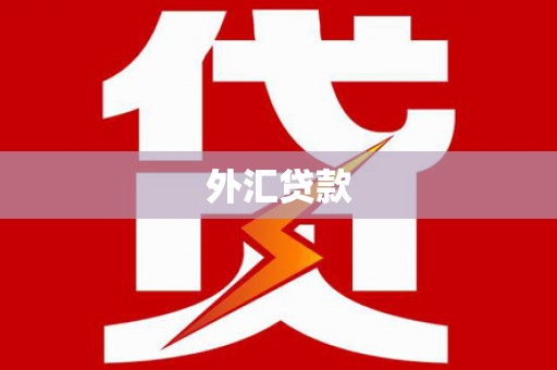 尉氏外汇贷款