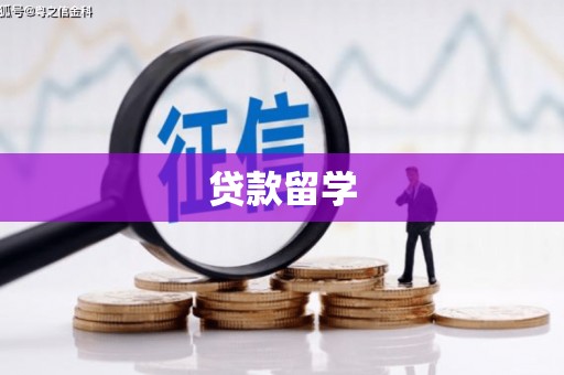 尉氏贷款留学