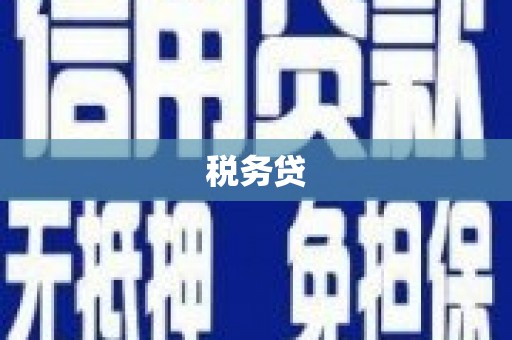 尉氏税务贷