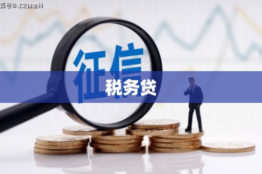 尉氏税务贷