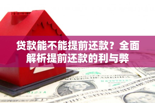 尉氏贷款能不能提前还款？全面解析提前还款的利与弊