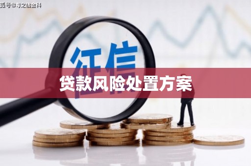 尉氏贷款风险处置方案