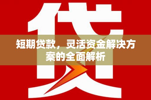 尉氏短期贷款，灵活资金解决方案的全面解析