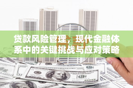 尉氏贷款风险管理，现代金融体系中的关键挑战与应对策略