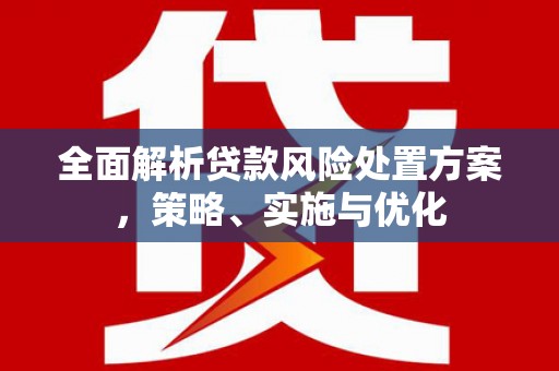 尉氏全面解析贷款风险处置方案，策略、实施与优化