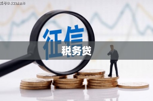 尉氏税务贷