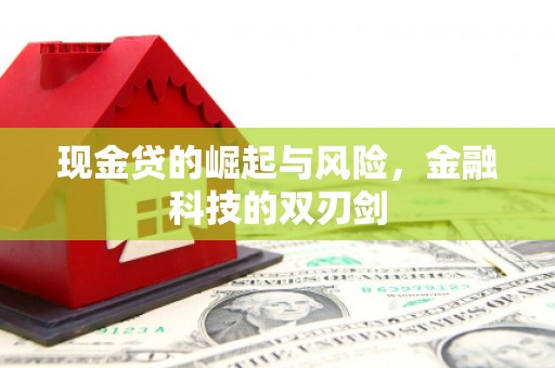 尉氏现金贷的崛起与风险，金融科技的双刃剑