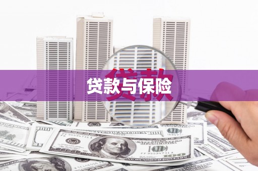 尉氏贷款与保险