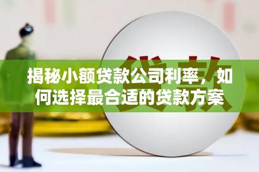 尉氏揭秘小额贷款公司利率，如何选择最合适的贷款方案