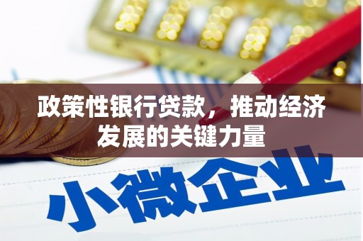 尉氏政策性银行贷款，推动经济发展的关键力量