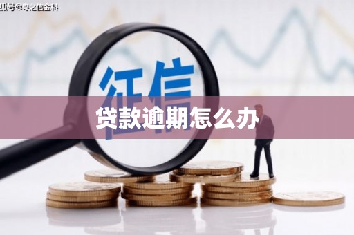 尉氏贷款逾期怎么办