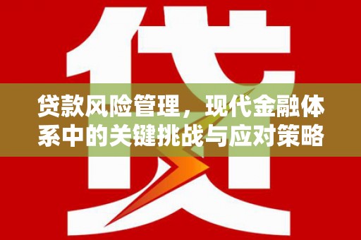 尉氏贷款风险管理，现代金融体系中的关键挑战与应对策略