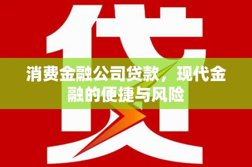 尉氏消费金融公司贷款，现代金融的便捷与风险