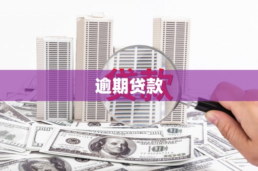 尉氏逾期贷款