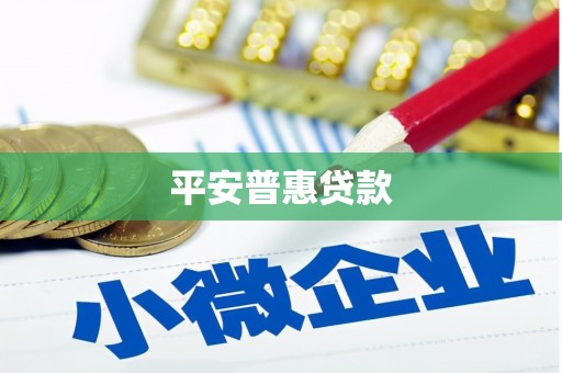 尉氏平安普惠贷款